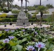 Jardin de la Abundancia hotel detail image 4