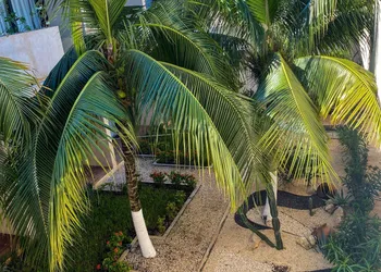 Moonshine Tulum Hotel hotel thumbnail 6