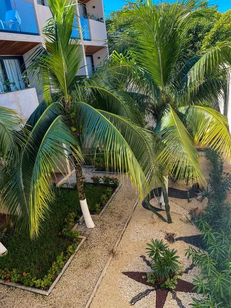 Moonshine Tulum Hotel hotel detail image 6
