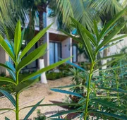 Moonshine Tulum Hotel hotel detail image 7