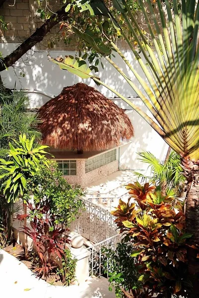 Tropical Casablanca Party Zone hotel detail image 2