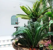 Tropical Casablanca Party Zone hotel detail image 4