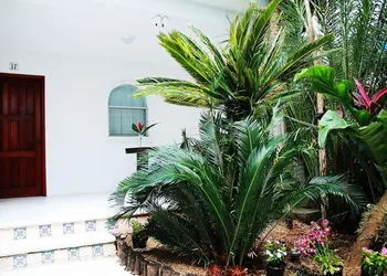 Tropical Casablanca Party Zone hotel thumbnail 4