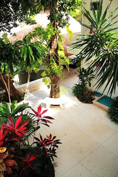 Tropical Casablanca Party Zone hotel detail image 6