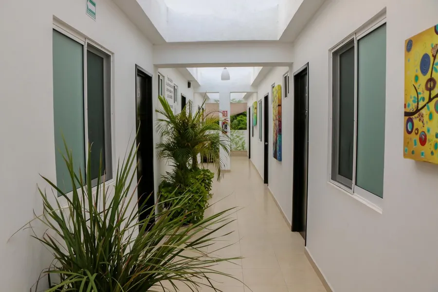 Gayser Apartamentos hotel detail image 6
