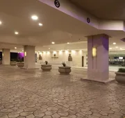 MS Milenium Monterrey, Curio Collection by Hilton hotel detail image 5