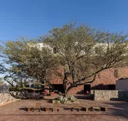 Albor San Miguel de Allende, Tapestry Collection by Hilton hotel detail image 3