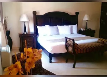 Gran Plaza Hotel Centro Historico hotel thumbnail 8