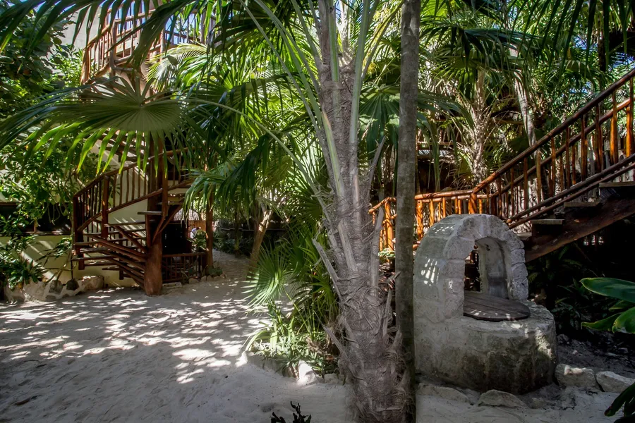 Playa Canek Beachfront Eco Hotel hotel detail image 6