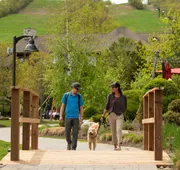 Blue Mountain Resort Village Suites hotel detail image 5
