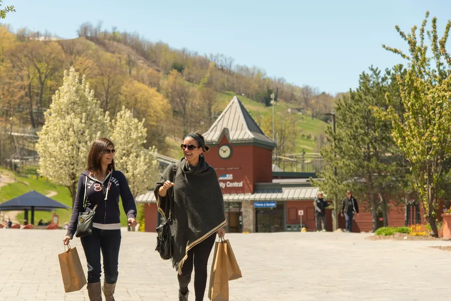 Blue Mountain Resort Village Suites hotel detail image 6
