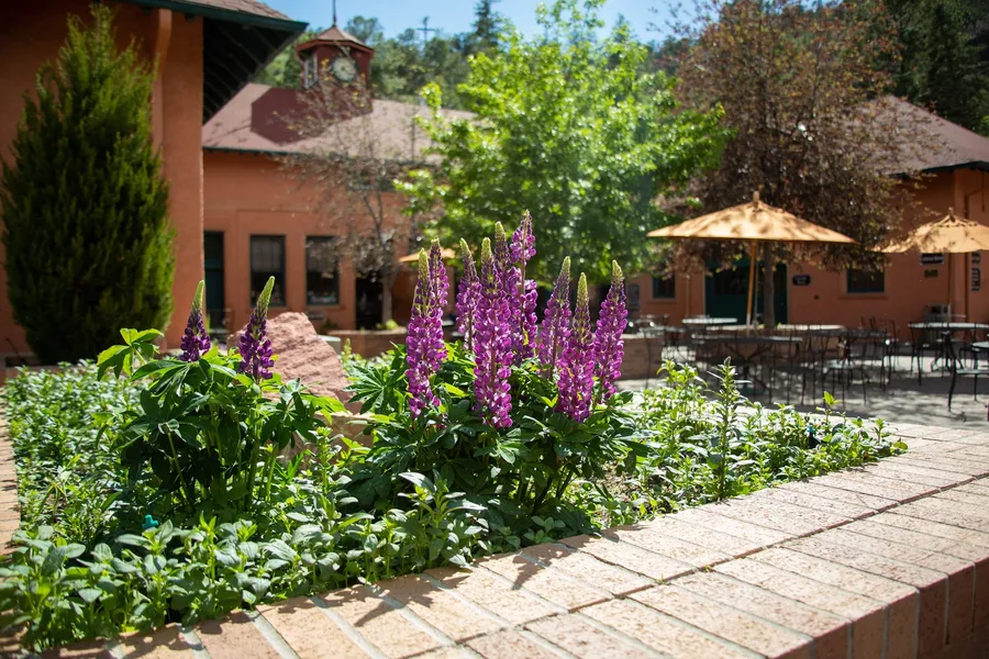 Glen Eyrie Castle & Conference Center A Ministry of the Navigators hotel detail image 2