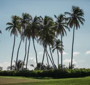 Wyndham Palmas Beach and Golf Boutique Resort hotel detail image 4