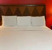 Rodeway Inn & Suites hotel detail image 4