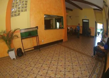 Hotel México Mazatlán hotel thumbnail 8