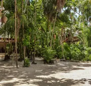 Dos Ceibas Tulum Feel Good Hotel hotel detail image 4