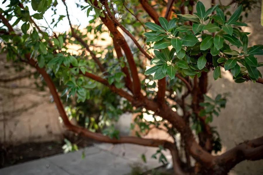 Seven Branches Venue and Inn hotel detail image 2