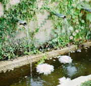 Seven Branches Venue and Inn hotel detail image 4