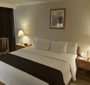 Hotel PF hotel detail image 7