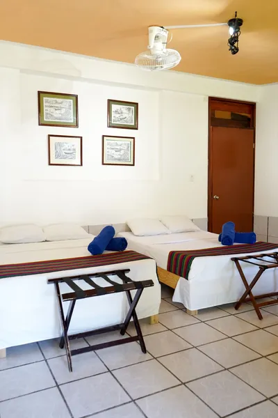Hotel Cofradia del Pirata hotel detail image 6