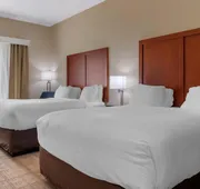 Comfort Inn & Suites hotel detail image 7