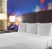 The Chicago Hotel Collection - Magnificent Mile hotel detail image 7