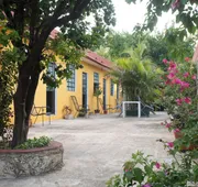 Casa Cuevas & Amaro hotel detail image 5