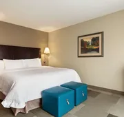 Hampton Inn & Suites Atlanta Airport West/Camp Creek Pkwy hotel detail image 4