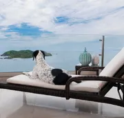 Hotel Azul Ixtapa Grand Resort Spa and Convention Center hotel detail image 3