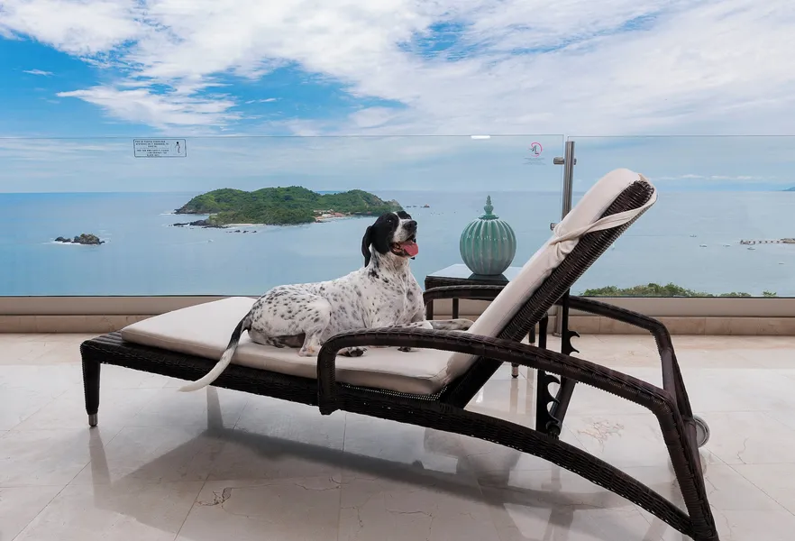 Hotel Azul Ixtapa Grand Resort Spa and Convention Center - All inclusive hotel detail image 6