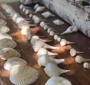 Boutique Hotel EL NIDO Holbox hotel detail image 7