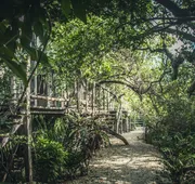 Roc Jungle Tulum hotel detail image 3