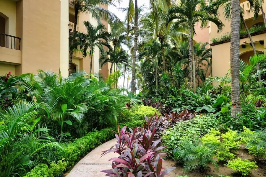 Villa Del Palmar Flamingos Beach Resort and Spa hotel detail image 6