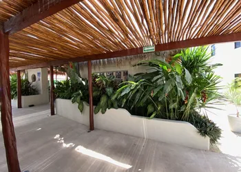 Blue Palm Bacalar hotel thumbnail 8