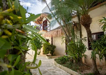 Hotel Howlita Tulum hotel thumbnail 2