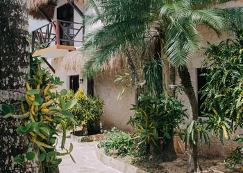 Hotel Howlita Tulum hotel thumbnail 3