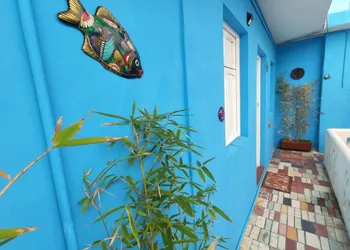 Chuchumbé Hotel & Hostal hotel thumbnail 4