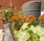 Casa Estrella Valenciana Hotel Boutique hotel detail image 7