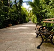 Catalonia Playa Maroma – All Inclusive hotel detail image 3