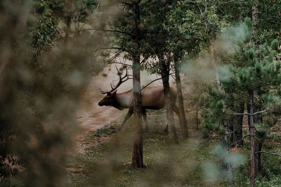 The Landing at Estes Park - Riverside Retreat hotel detail image 6