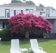 ShoreWay Acres Inn & Cape Cod Lodging hotel detail image 4