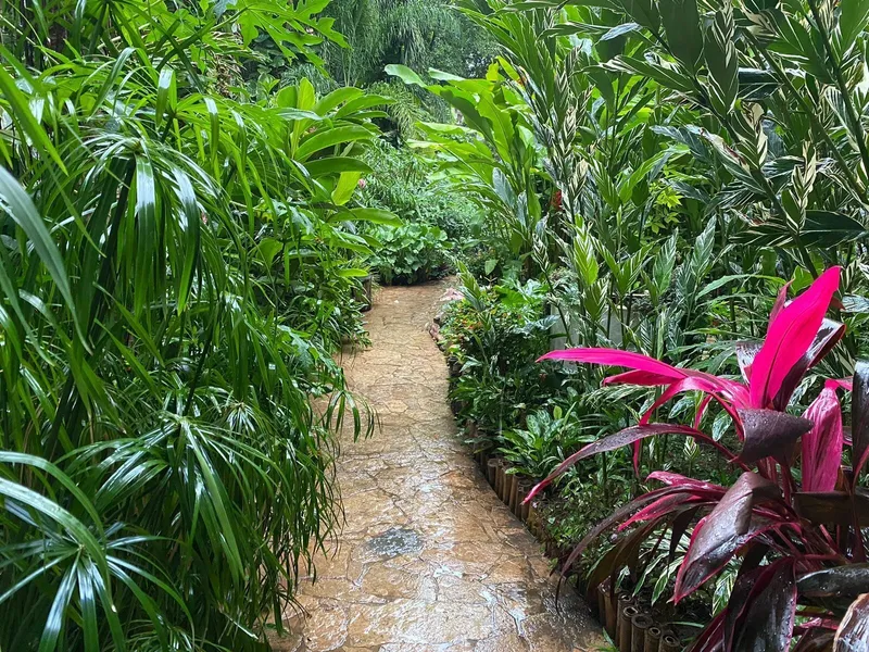 La Ceiba Hotel Spa hotel detail image 6