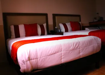 El Regio Hotel hotel thumbnail 5