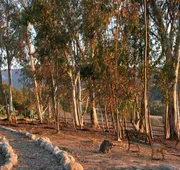 Ojai Retreat & Inn hotel detail image 3