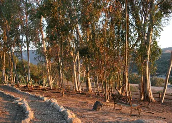 Ojai Retreat & Inn hotel thumbnail 8