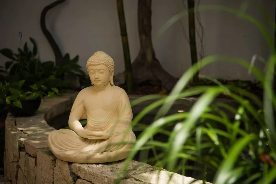 Ocean Zen Suites on 5th Avenue - Adults Only hotel detail image 6