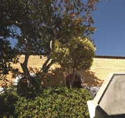 Casa Maria hotel detail image 3