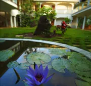 Hawaii Island Retreat hotel detail image 3