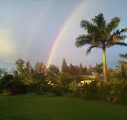Hawaii Island Retreat hotel detail image 4