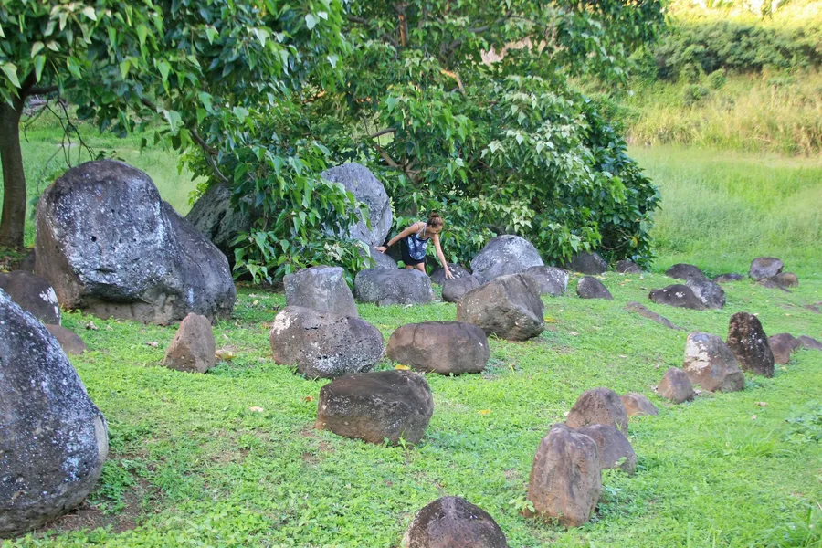 Hawaii Island Retreat hotel detail image 6